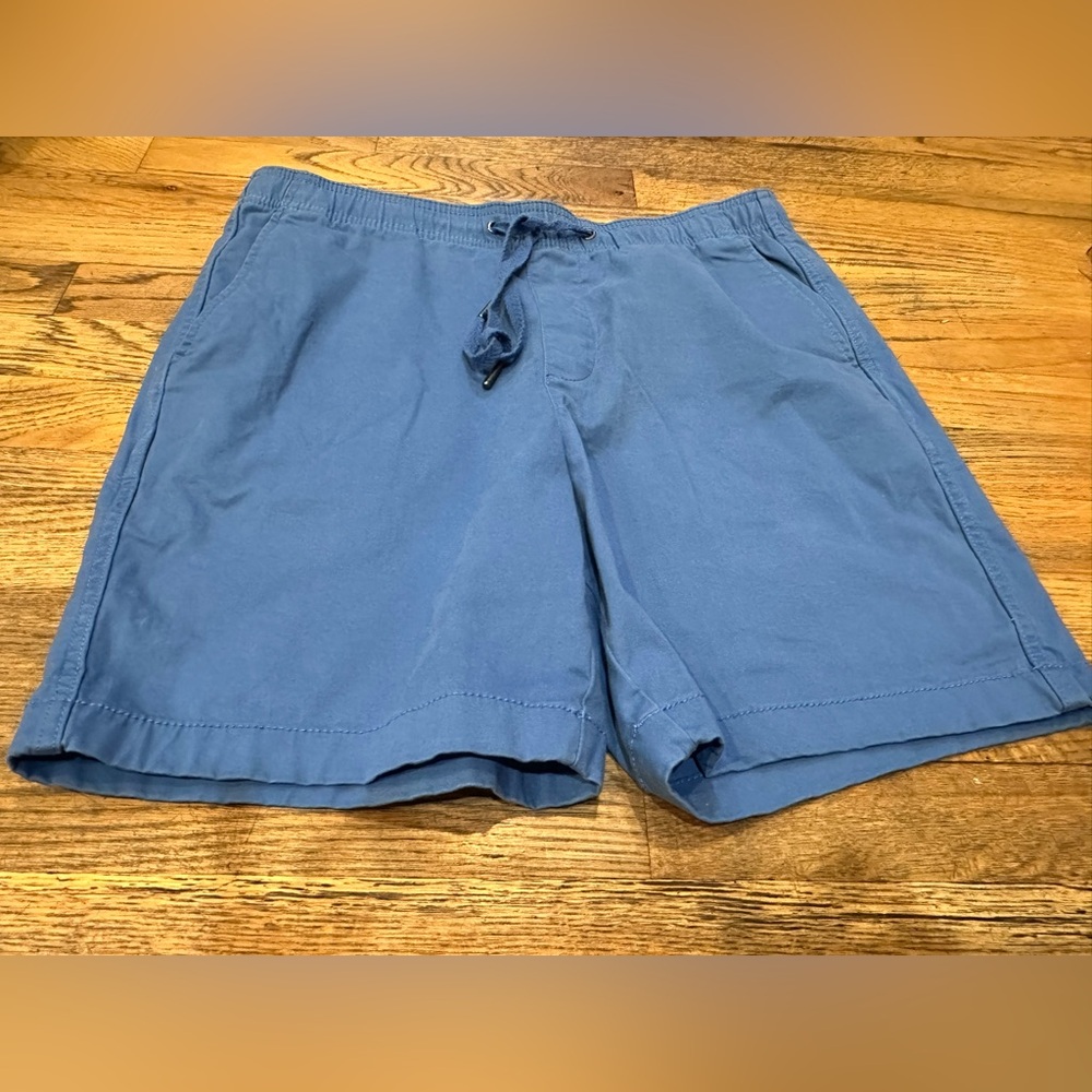 GAP Pull On Shorts Mens Medium Blue Elastic Waist Drawstring